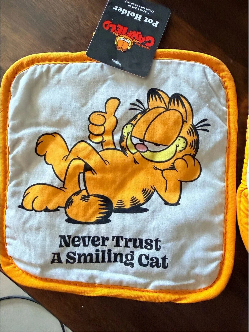 Nickelodeon Garfield 2 Piece Kitchen Set Pot Holder and Mini Mitt
